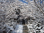 长白县雪景