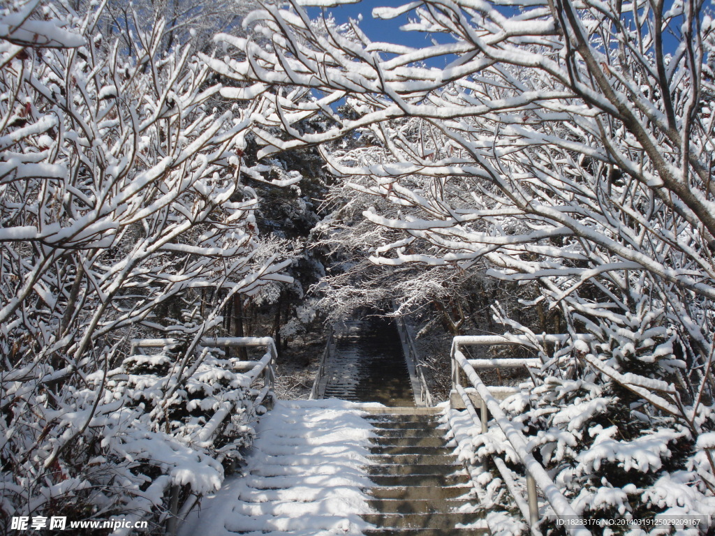 长白县雪景