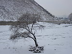 长白县雪景