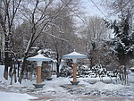长白县雪景