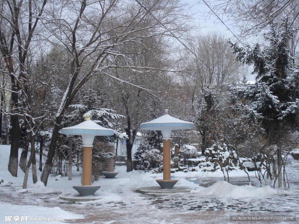 长白县雪景