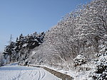 长白县雪景