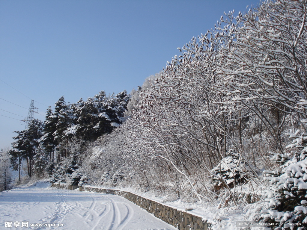 长白县雪景