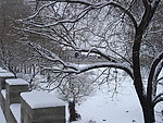 长白县雪景