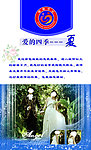 婚姻登记所 夏天