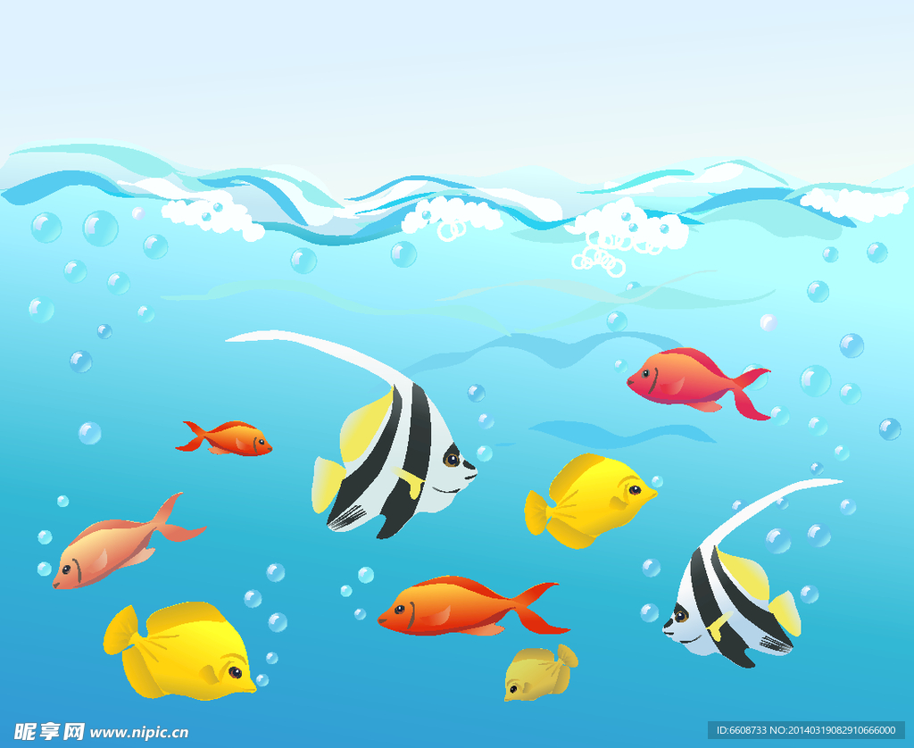海鱼 海底世界