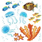 海洋生物
