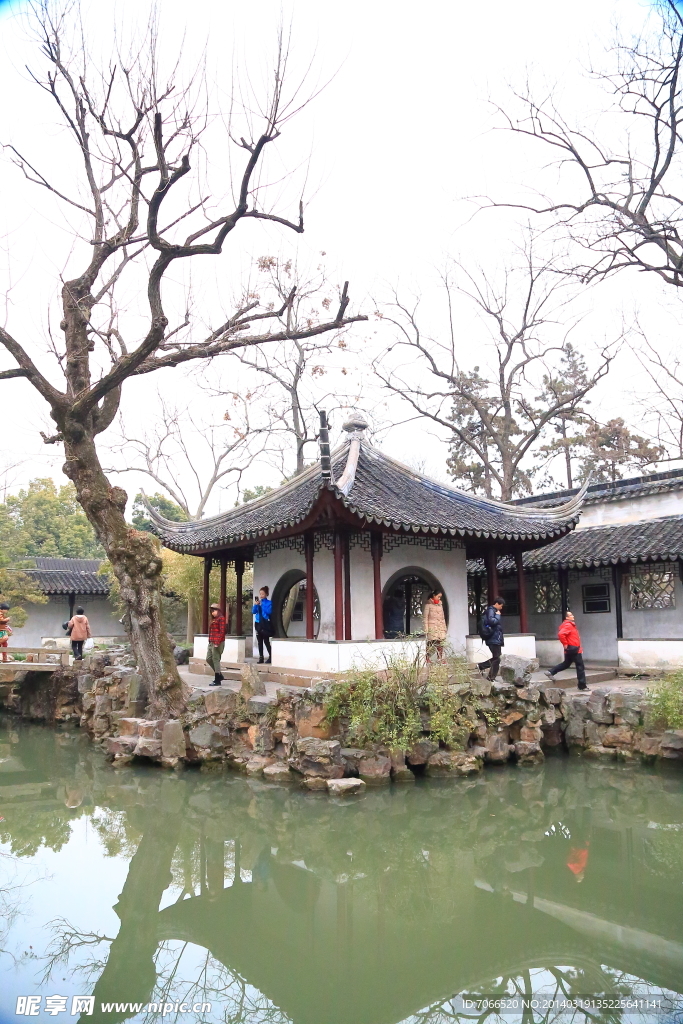庭院风景