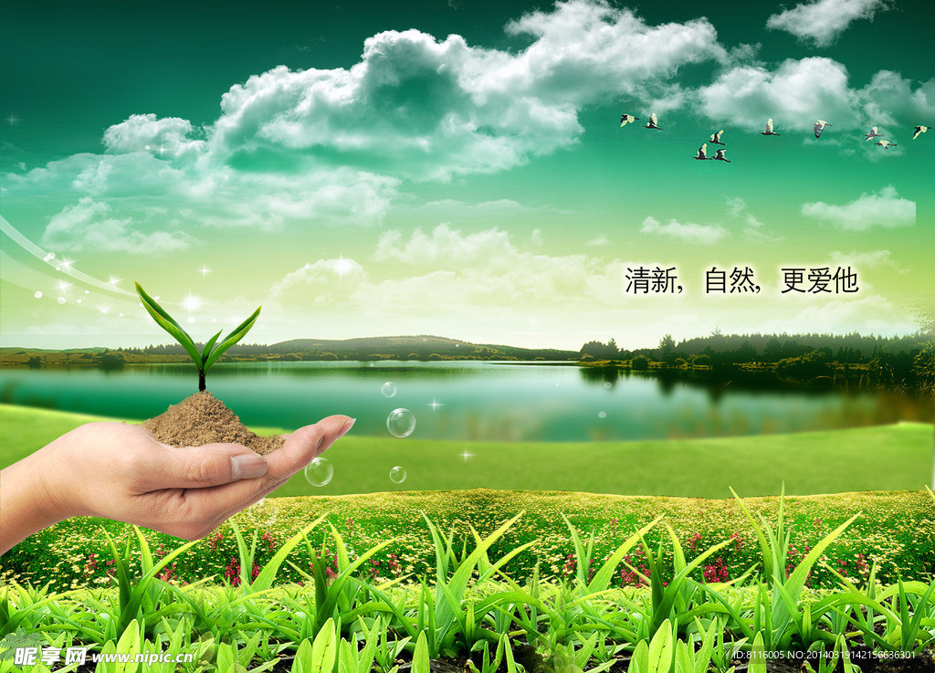 绿色 自然风景