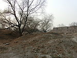 圆明园公园遗址风景