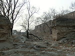 圆明园风景
