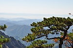 黄山