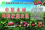 家庭农场