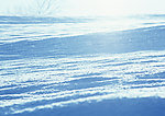 冰天雪地
