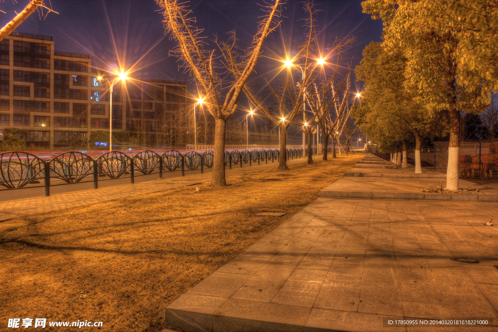 夜晚草地