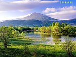 风景照
