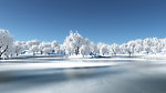雪的自然风景高清图片