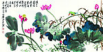 荷花翠鸟