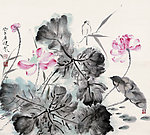 荷花图