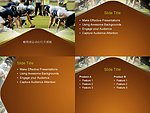 橄榄球PPT