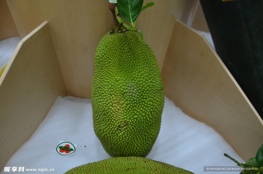 菠萝蜜