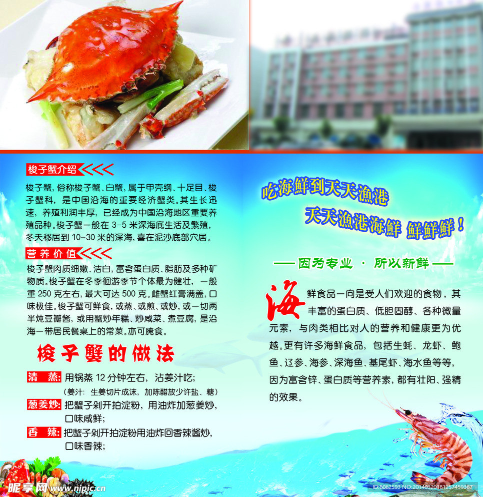 天天渔港宣传页