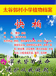 树木名片
