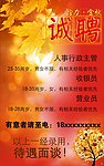 招聘海报