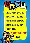 招聘海报