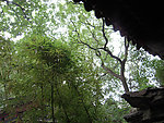 北京园林