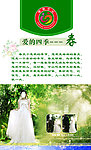 婚姻登记所 春天