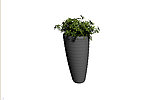 植物模型