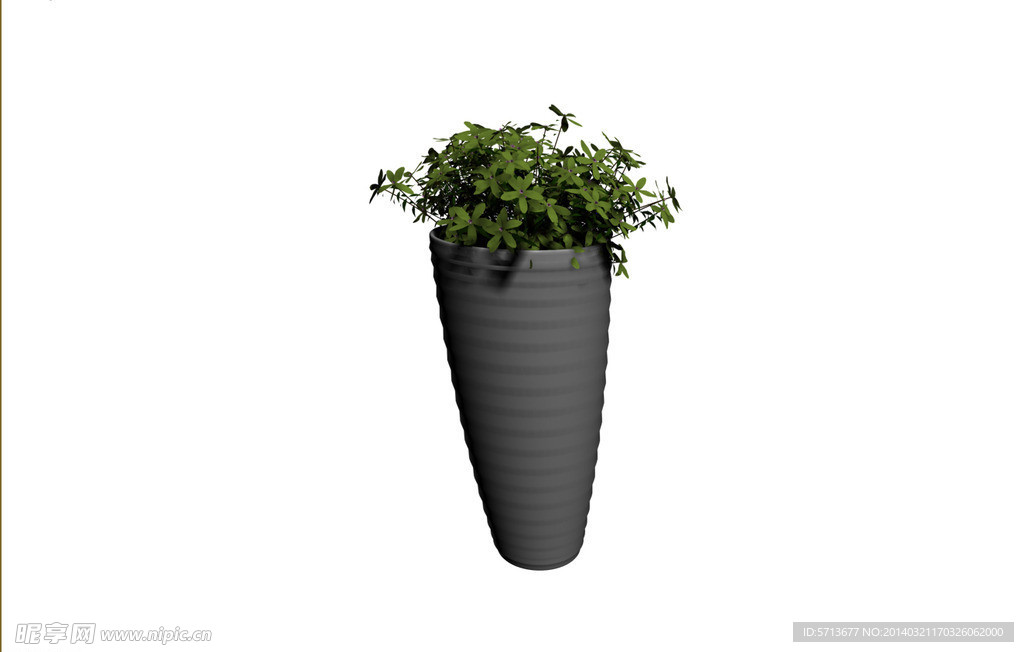 植物模型