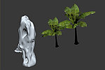 植物模型
