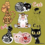 小猫猫咪宠物CAT