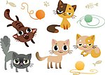 小猫猫咪宠物CAT