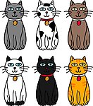 小猫猫咪宠物CAT