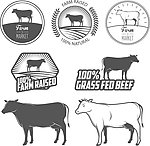 肉食图标肉类标志