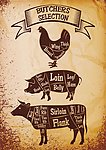 肉食图标肉类