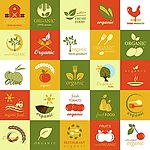 有机食品食物图标