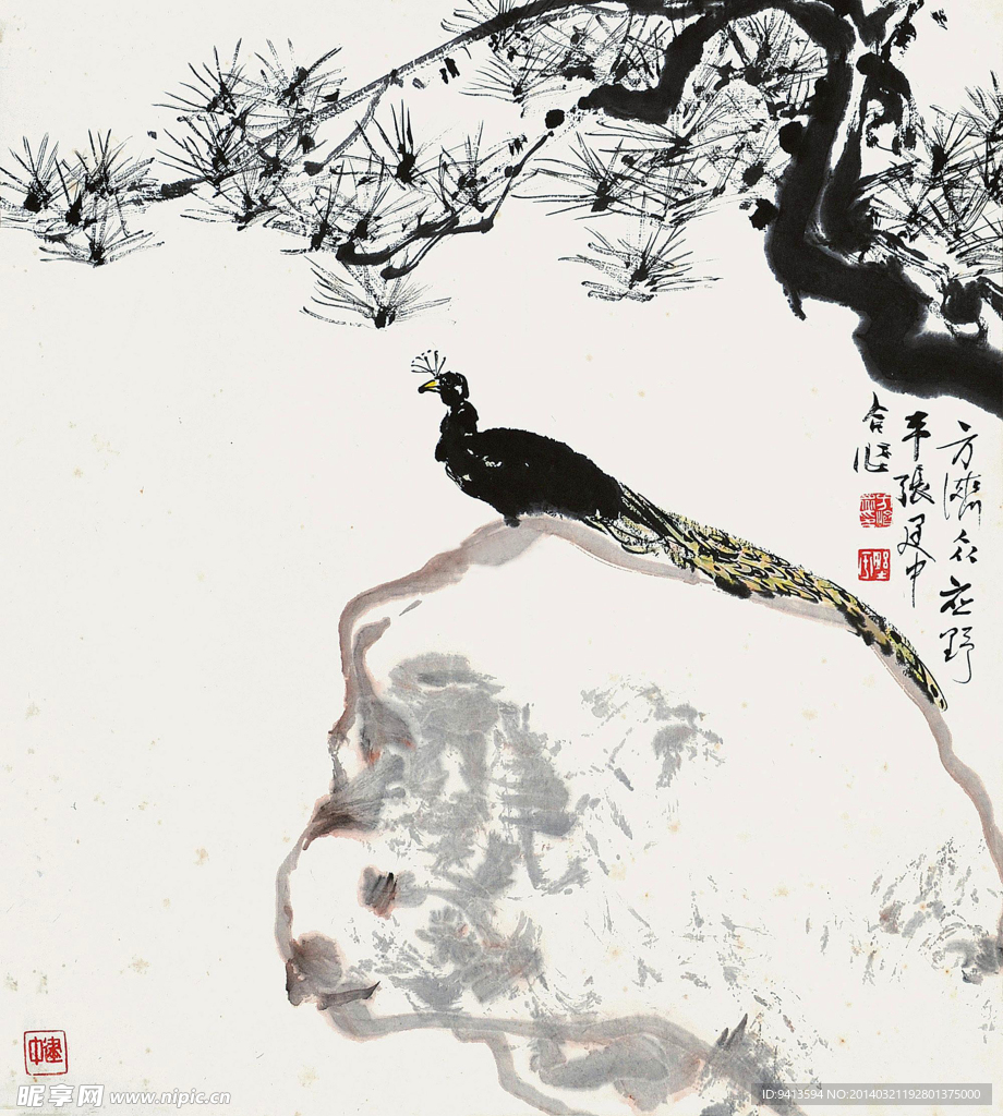 墨松孔雀