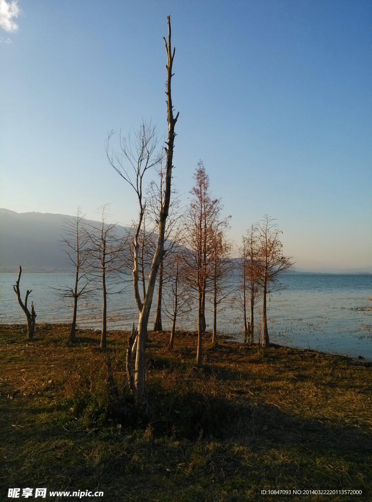 洱海风景