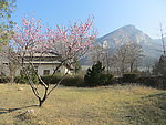 启母阙景区春景