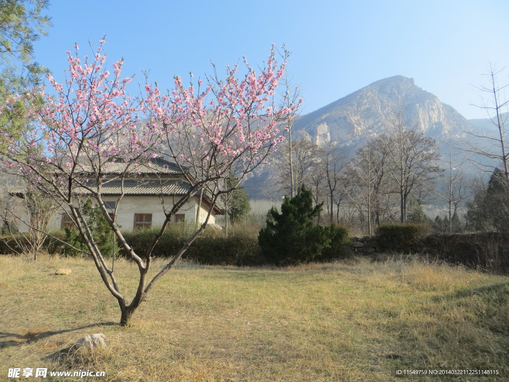 启母阙景区春景