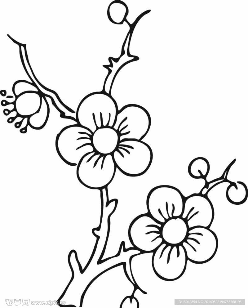 花纹 花
