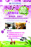 赏樱花