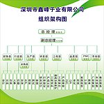 组织架构图