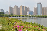 花城