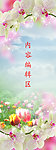 兰花