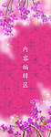 紫色兰花